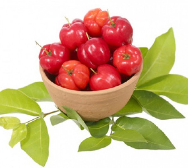 Moringa / Acerola Kapseln