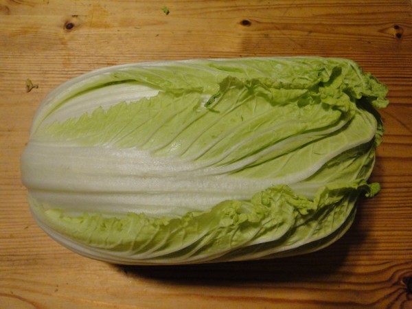 Pe-Tsai (Brassica rapa pekinensis)