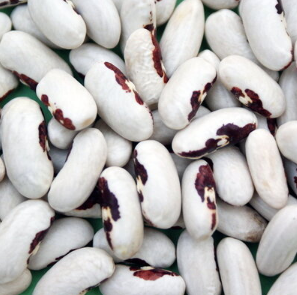 Nonnennabel Körner- und Hülsenbohne