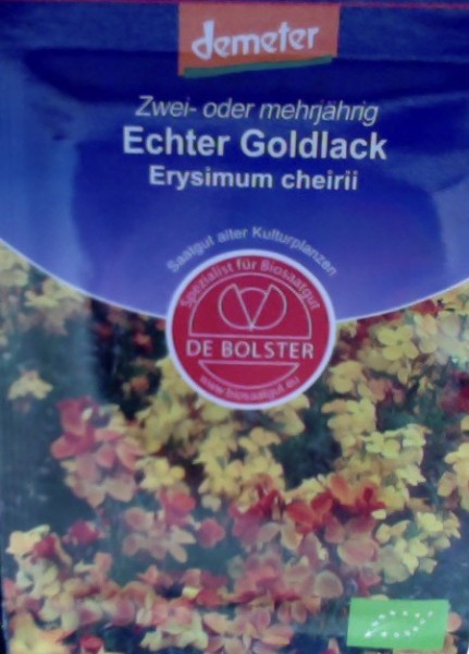 Erysimum cheirii &#039;Echter Goldlack&#039;