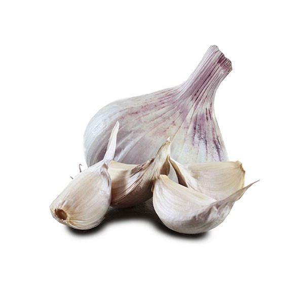 Knoblauch Iberian