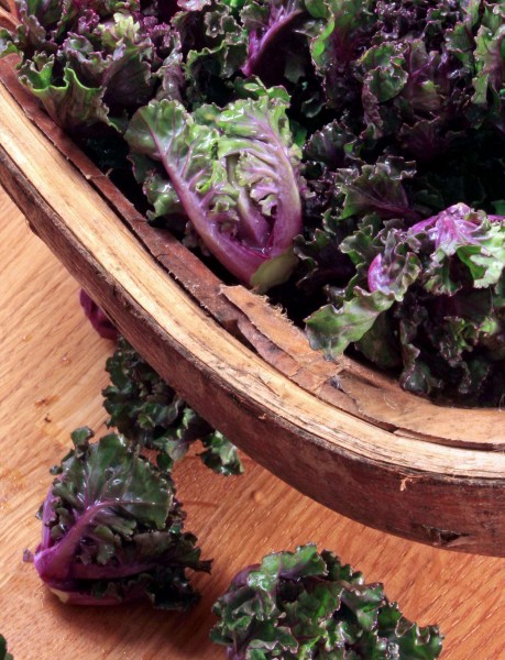 Flower Sprouts, Kohlröschen