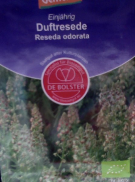 Duftresede (Reseda odorata)-Angebot