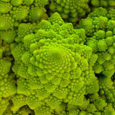 Brokkoli Romanesco