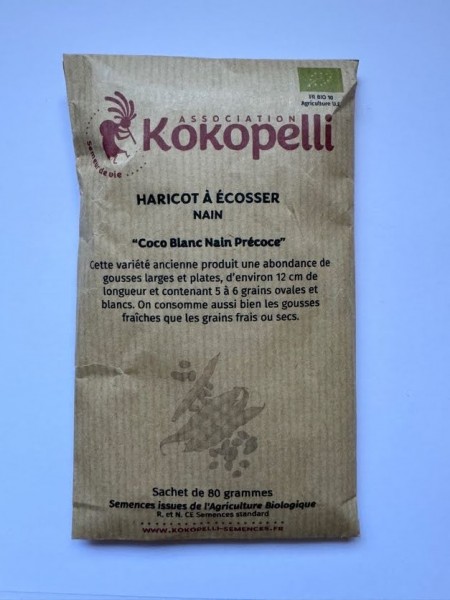 Coco Blanc Frühe Busch-und Körnerbohne