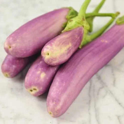 Kashmiri Brinjali, Aubergine