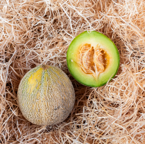 Farthest North Mix Honigmelonen Mischung