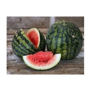 Wassermelone Melitopolsky