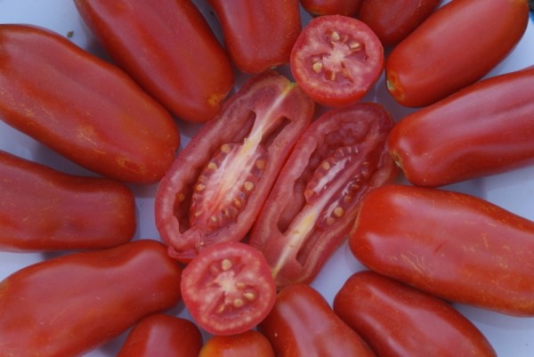 San Marzano (Eiertomate)