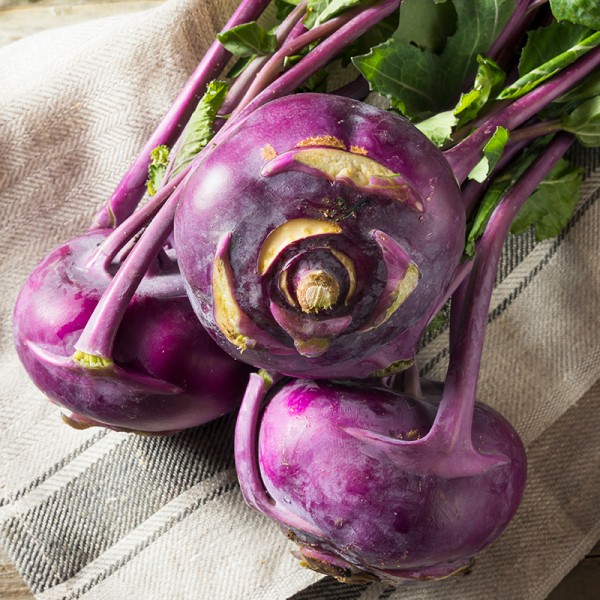 Kohlrabi Blauer Delikatess