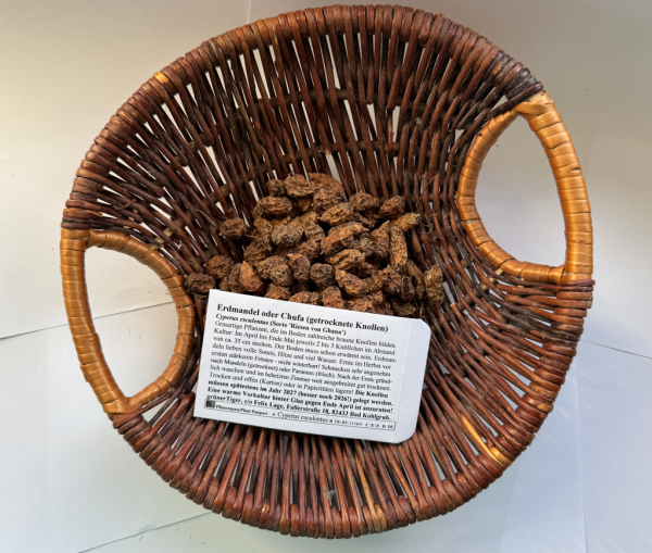 Erdmandeln-Riesen aus Ghana 10 Knollen