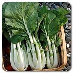 Pak Choi / Prize Choi