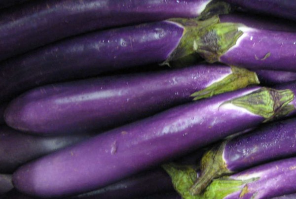 Thai Long Purple, Aubergine
