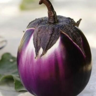 Aubergine Round Purple