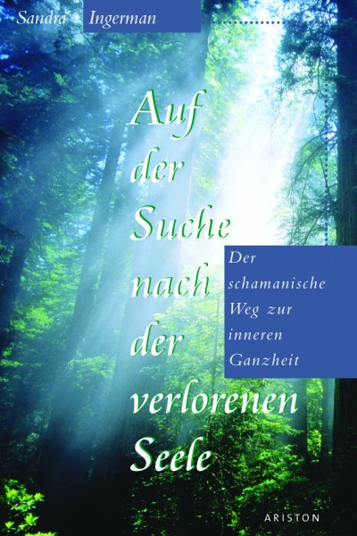 Auf der Suche nach der verlorenen Seele geb. Buch