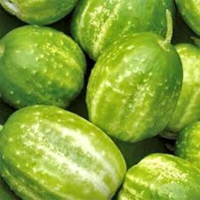 Richmond Green Apple, Gurke
