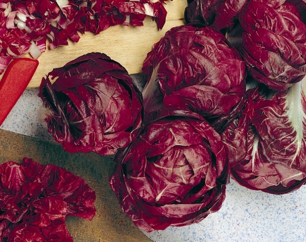 Roter von Verona, Radicchio