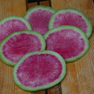 Radieschen Wassermelone (Misato Rose)