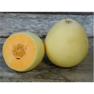 Honigmelone Honeydew Orange Flesh